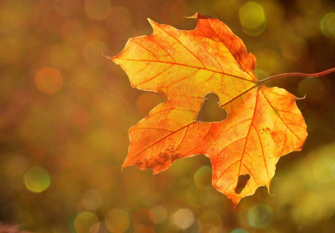 Let Fall Bring Positive Change